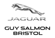 Guy Salmon Jaguar